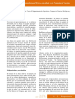 Importancia de La Meliponicultura en Mexico PDF