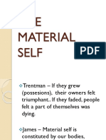 The Material Self