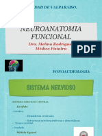 Neuroanatomia Funcional PDF