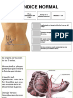 Apendicitis