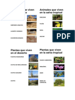 Animales y Plantas Que Viven en El Desierto, Selva Tropical y Zonas Articas