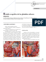 Estudio Ecografico de Las Glandulas Salibales Mayores - 383-391