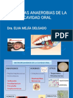 Aerobios y Anaerobios Orales PDF