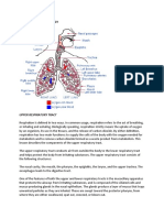 Anatomy and Physiology