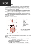 Sistemadigestivo