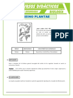 El Reino Plantae para Quinto de Secundaria