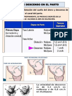 Fase de Descenso en El Parto