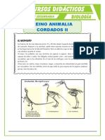 Las Aves Caracteristicas para Quinto de Secundaria