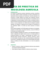 Guía de Práctica de Micología Agrícola