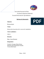 Extracion de Adn PDF