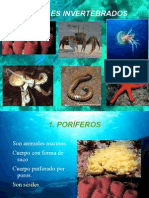 Animales Invertebrados No Artrópodos