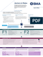 Career Path For Doctors in Wales Poster PDF