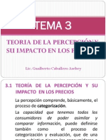 Tema 3 Teoria de La Percepción