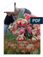 Floret How To Grow Tulips