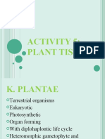 BIO 3: Plant Tissues