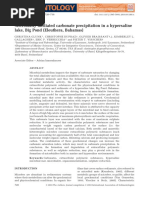 Microbially Mediated Carbonate Prescipitation in A Hypersaline Lake, Big Pond (Eleuthera, Bahamas)