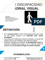 Discapacidad Visual