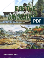 Mesozoic Era Group 4123