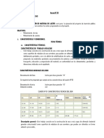 Terminos de Referencia Lastre