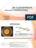 Epicocum, Cladosporium, Mucor y Saprolegnia PDF