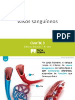 Ctic9 G4 Vasos Sanguíneos