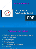 Special Stain PPT by G.P. Tiwari