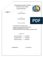 Informe NCA Terminado