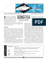 Sea Stats Bonefish