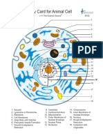 B102 Animal Cell Flagged Color PDF