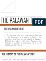 The Palawan Tribe Report Pal Stud