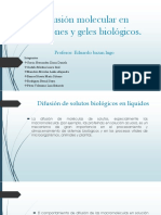 Difusión Molecular en Soluciones y Geles biológicos-BAZAN-1