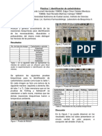 Práctica 1. Identifiacion de Carbohidratos