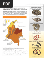 Inforgrafía Accidente Ofídico