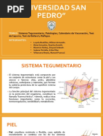 Sistema Tegumentario, Patologías, Calendario de Vacunación, Test de Capurro, Test de Ballard y Reflejos.