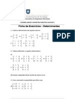 Ficha Exercicios Determinantes