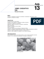 11284816022012bioquimica Aula 13 PDF