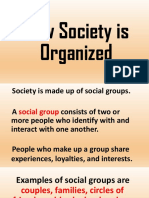 How Society Is Organized 7