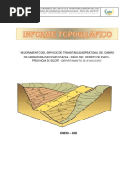 Estudio de Topografía - Paico