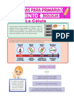 La Célula para Quinto de Primaria