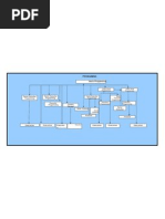 Mirchi ORG Structure