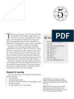 5 Pruning PDF