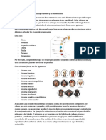 Estructura y Función de La Célula