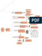 Mapa Conceptual Comunidad 3 PDF