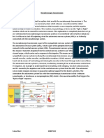 Describing Noradrenergic Transmission