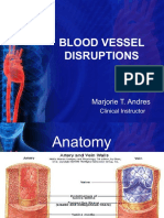 Blood Vessel Disruption