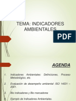 Indicadores Ambientales V 2019 PDF