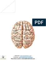 Conceitos Fundamentais de Neurociências