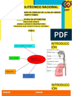 Fisio Respiracion