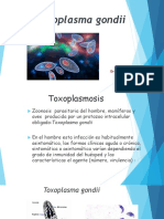 Toxoplasma - 2018