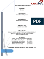 Ensayo Autotutela, Autocomposición Heterocomposición - 02-06-2020